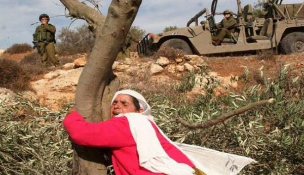 الفلسطينيون يحيون اليوم ذكرى يوم الأرض