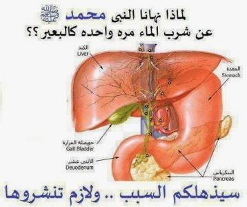 لماذا نهانا النبي عن شرب الماء مرة واحدة كالبعير ؟ ... ثبت علميا بعد 1400 سنة