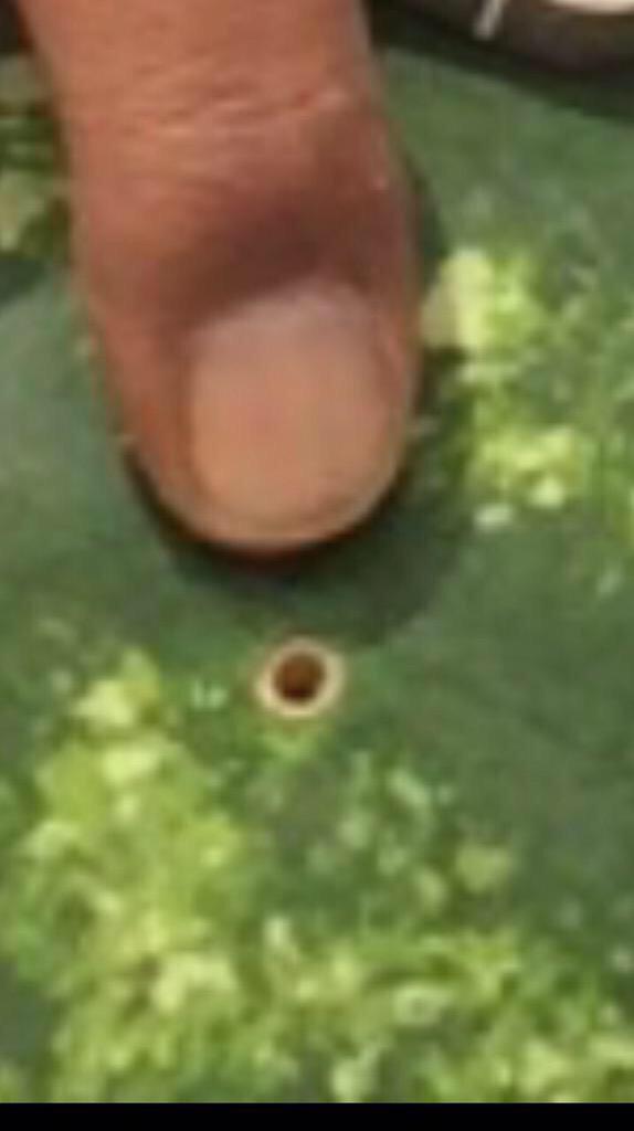 البطيخ الايراني .. بريء !!