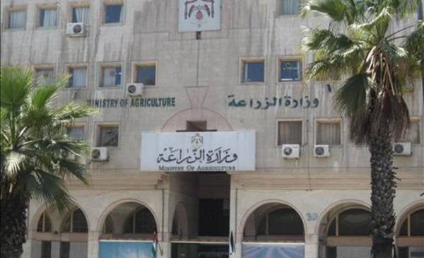 الزراعة: لا تعويضات للمزارعين عن أضرار موجات الحر