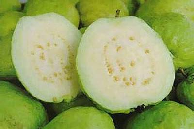 تحذير هام جداً ... احترس عند أكل الجوافة ... يجب الانتباه لأمر هام