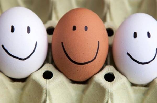 ما هي الأخطاء الشائعة حول بيض المائدة؟