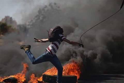 منها الهدم الفوري لمنازل ابطال المقاومة.. قرارات صهيونية ردا على موجة العمليات