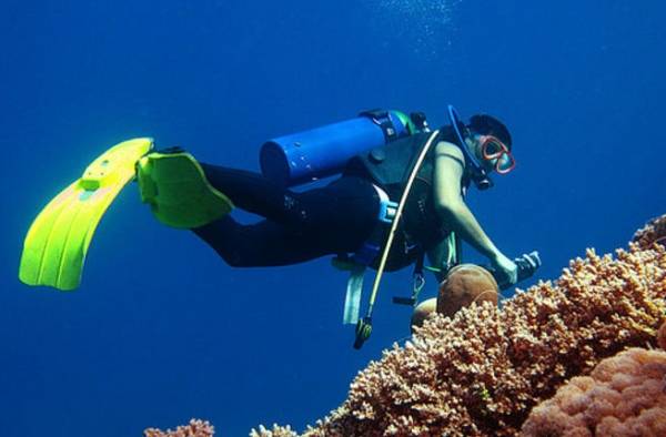 غواص سعودي يعثر على سحر بداخله صورة عشرينية في قاع البحر تفاصيل !