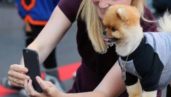 قريباً... سيصبح بإمكان الكلاب التقاط السيلفي!