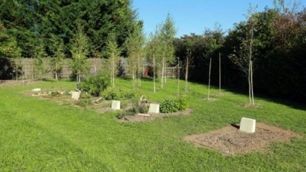 إنشاء أول مقبرة بيئية للموتى في فرنسا