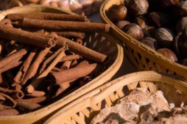 أعشاب تقيك من الزكام والجراثيم.. ما هي؟