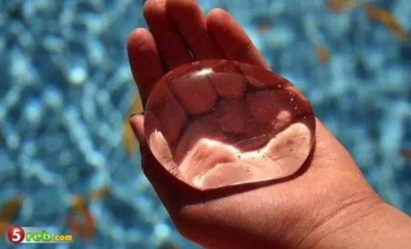 مياه صالحة للأكل!