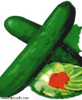 فى الشتا الخيار كله صحة وجمال.. يحمى من السكر والقلب ويحافظ على البشرة