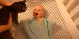 فيديو: رد فعل رضيعة ترى قطة لأول مرة يحقق ملايين المشاهدات