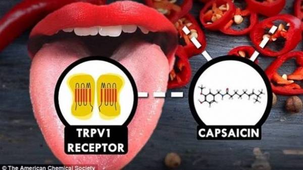 إياكم وشرب المياه أبداً بعد تناول الفلفل الحارّ