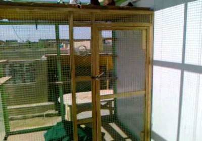 بعد حبسه بقفص لتربية الحمام عقدين من الزمان، الشرطة الإسبانية تحرر رجلا من قبضة أخوته