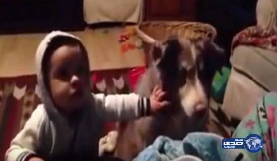 بالفيديو.. الأم تطلب من الطفل أن يقول ماما ولكن من قالها؟