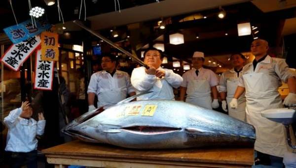 ياباني يشتري سمكة بـ177 ألف دولار..!