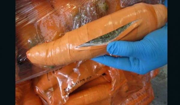 مخدرات بقيمة تبلغ نصف مليون دولار محشوة بجزر “مزيف”!