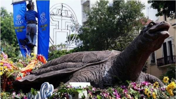 كو روا: السلحفاة العجوز التي صدم موتها سكان فيتنام