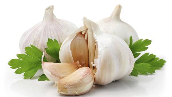 الثوم مضاد للكوليسترول: الدراسة أجريت في في المركز الطبي التابع لجامعة كاليفورنيا..