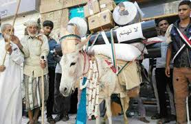 تكريم حمار في اليمن... شاهد الصور