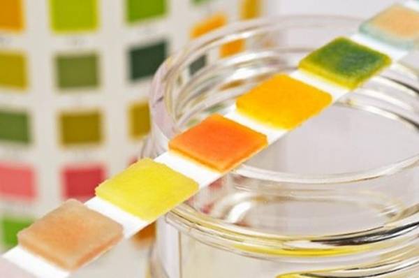 لون البول انعكاس لحالتك الصحية