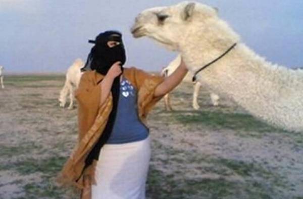 تقبيل الجمل وتسريحة الفراولة.. أغرب وأطرف حالات الطلاق في السعودية!