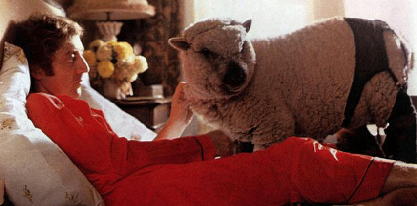 محكمة ألمانية ترفض رفع الحظر عن مضاجعة الحيوانات خوفا عليها‬..!!