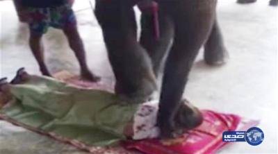 فيل ضخم يجري جلسة تدليك لعروسين بقدمه!