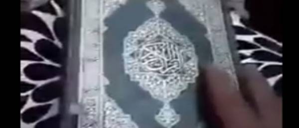 بالفيديو..شاهد كيف كانت حشرة تأكل أجزاء من القرآن الكريم ..وماذا حدث له؟