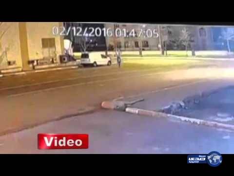 ما حقيقة هذا المخلوق الغريب الذي ظهر في تركيا؟ فيديو