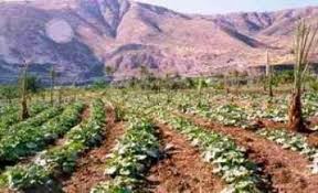 ادارة عليا لصندوق المخاطر الزراعية..