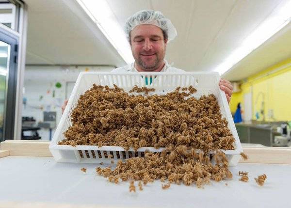 معكرونة بالحشرات تلقى رواجا في الأسواق الفرنسية