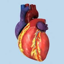 اعدام بنغالية قتلت عشيقها ونزعت قلبه