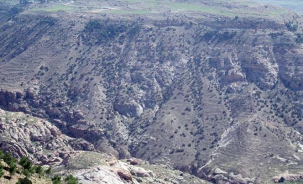 الاعتداء والجفاف يحيلان جبالا وأودية بغابات الطفيلة لمناطق شبه جرداء