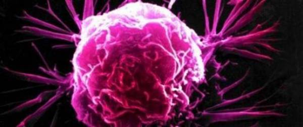 مفاجأة.. علاج السرطان داخل جسم الإنسان!