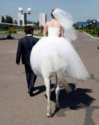 بالفيديو: شاهد أغرب 10 أزواج وزوجات في العالم