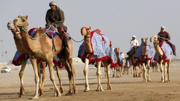 دراسة: عمر سكان الإمارات الأدنى في العالم