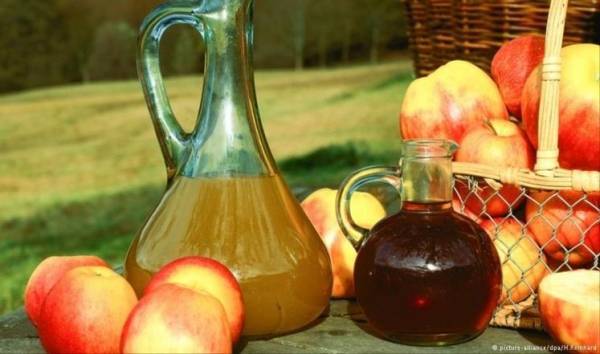 يابانيون يجرون تجربة على 155 بدينا ويخلصون إلى نتائج لتخسيس الوزن.. تعرف عليها الآن