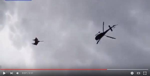 طائرة مروحية تنقل بقرة سويسرية مصابة إلى المستشفى