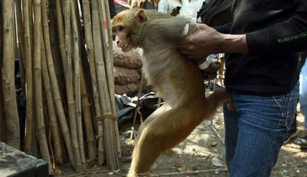 تعرّف على أغرب 5 وظائف في العالم