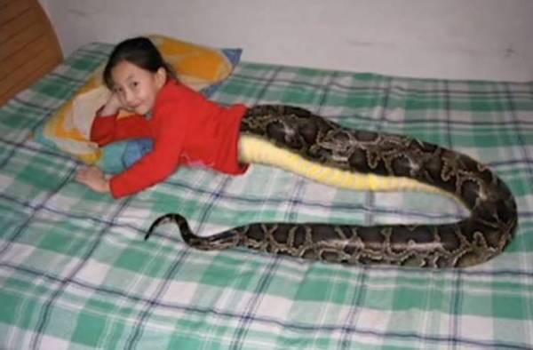 بالصورة: بعد ان أختفت لمدة شهرين تفاجئ الجيران بصورة مسربة لها!