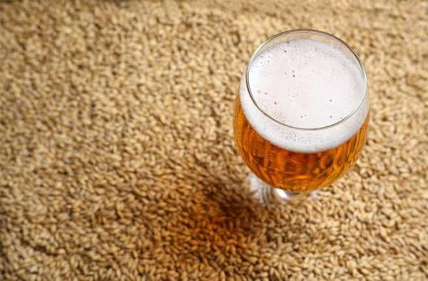 تعرف على فوائد تناول الشعير الطبيعي في  رمضان