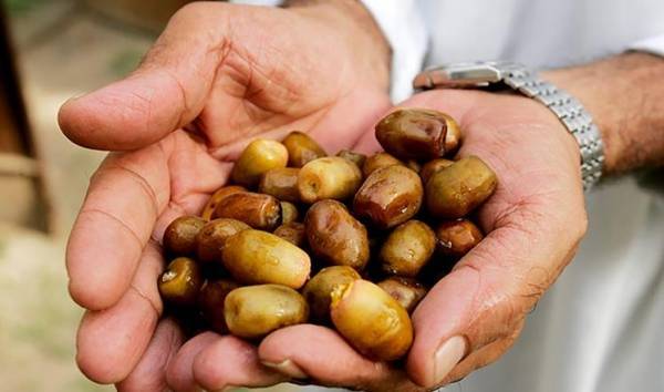 لماذا فضل الرسول الإفطار على التمر؟