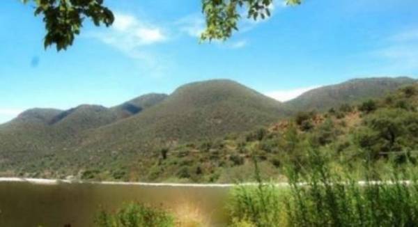 هل يمكنك حلّ لغز الصورة التي أصابت الملايين بالحيرة؟