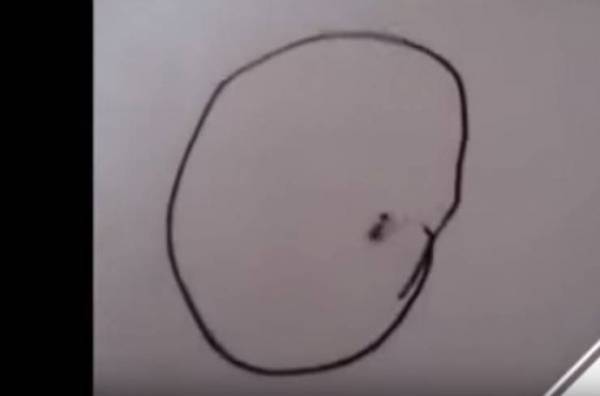 فيديو لن تصدقوا ماذا فعلت.. رد فعل نملة داخل دائرة مرسومة!!