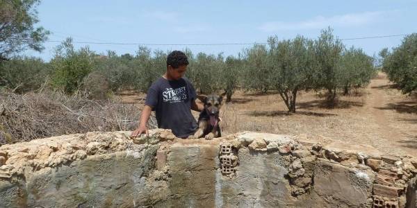 قصة وفاء للإنسان.. كلبة تنقذ سيدتين من الموت غرقاً في البئر بأحد أرياف تونس