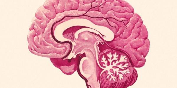 هل فكّرت يوماً بما يجعلك جذاباً لدى الجنس الآخر؟