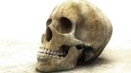 5000  دولار  سعر الجمجمة البشرية على موقع تسوق الكتروني