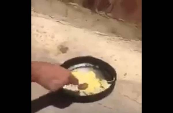 خلال موجة حر رهيبة.. عراقيون يقلون البيض في الشمس (شاهد)