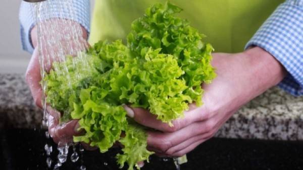 احذري الأخطاء الشائعة عند غسل خضراواتكِ الورقيّة!