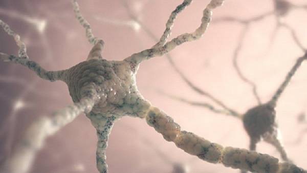 اكتشاف بروتين يحمي من الزهايمر