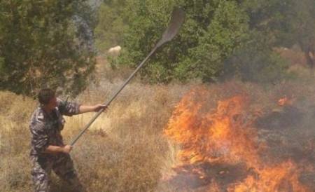 تدمير 12 دونما.. حصيلة الحريق الاسرائيلي في الاغوار  فيديو